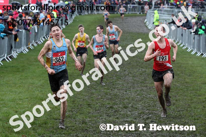 Senior boys 2019 New Balance English Schools Cross Country Champs, Temple Newsam, Leeds. Photo:  David T. Hewitson/Sports for All Pics